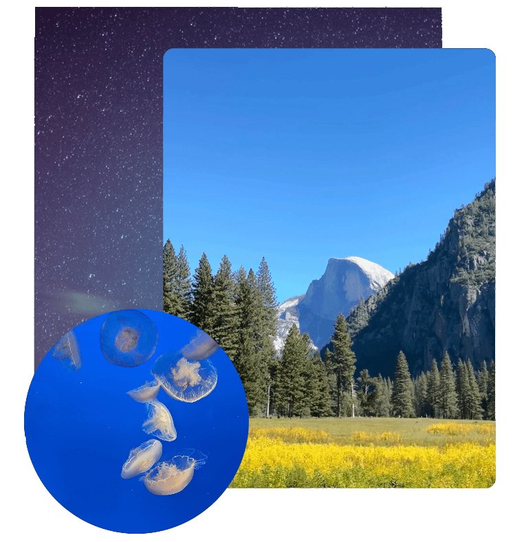 Day 4 : Good tidings of Great Joy – ‘The Wonderful One’  Miracle maker&nbsp;!