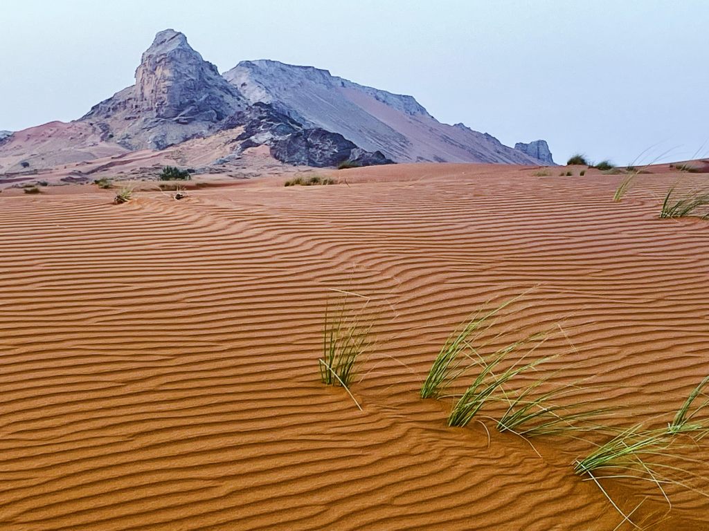 In Awe of nature ! – #1 God’s handiwork&nbsp;!