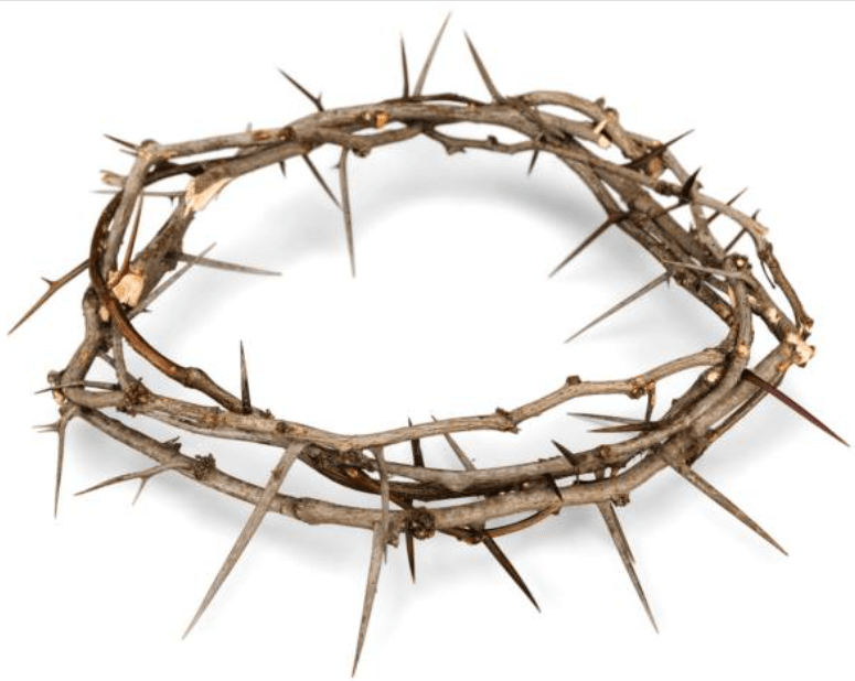 On the Cross ! – #3 Crown of Thorns&nbsp;!
